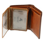 Мужской кожаный кошелек Visconti TR34 BRN/TAN Waldorf Коричневый - Фото № 102 Мужской кожаный кошелек Visconti TR34 BRN/TAN Waldorf Коричневый - Фото № 102