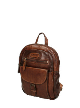 Женский кожаный рюкзак среднего размера Hill Burry HB1715/WHB Коричневый