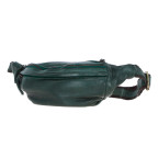 Стильна поясна сумка Ashwood D102 (Green) - Фотографія № 100