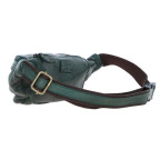 Стильна поясна сумка Ashwood D102 (Green) - Фотографія № 102