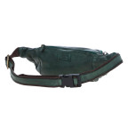 Стильна поясна сумка Ashwood D102 (Green) - Фотографія № 103