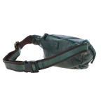 Стильна поясна сумка Ashwood D102 (Green) - Фотографія № 104