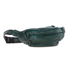 Стильна поясна сумка Ashwood D102 (Green) - Фотографія № 106