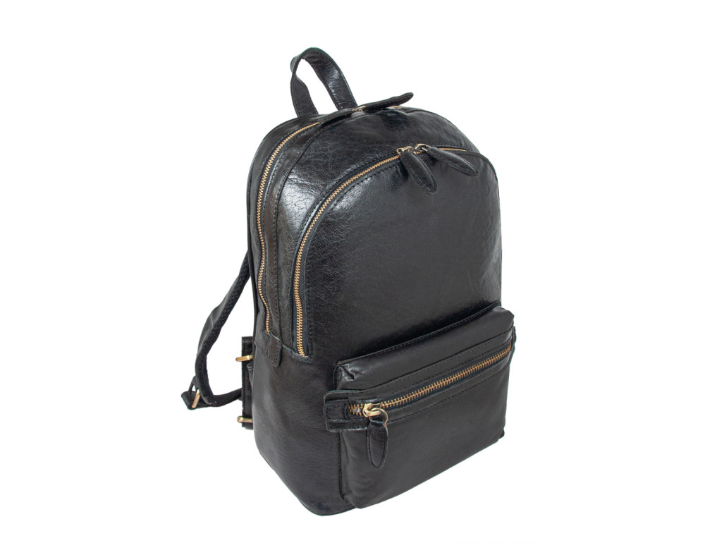 Чорний чоловічий рюкзак із матової шкіри Aswood G38 BLACK - Фотографія № 2