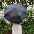 Парасолька чоловіча Fulton G818-019214 Chelsea-2 City Stripe Black/Steel - Фотографія № 102 Парасолька чоловіча Fulton G818-019214 Chelsea-2 City Stripe Black/Steel - Фотографія № 102