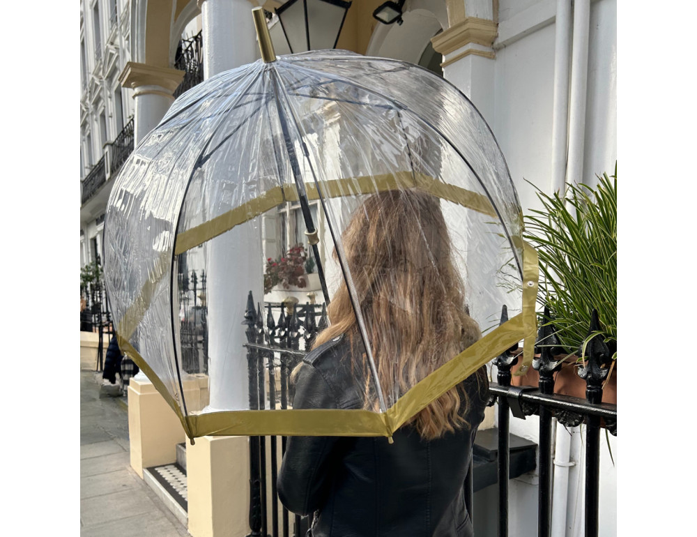 Парасолька жіноча Fulton L041-005804 Birdcage-1 Gold - Фотографія № 2