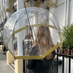 Парасолька жіноча Fulton L041-005804 Birdcage-1 Gold - Фотографія № 101