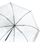 Парасолька жіноча Fulton L041-015582 Birdcage-1 White - Фотографія № 110 Парасолька жіноча Fulton L041-015582 Birdcage-1 White - Фотографія № 110