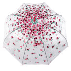 Парасолька-тростина жіноча Fulton Birdcage-2 L042 Rose Bud (Рожевий бутон) - Фотографія № 101 Парасолька-тростина жіноча Fulton Birdcage-2 L042 Rose Bud (Рожевий бутон) - Фотографія № 101
