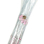 Зонт женский с розовою ручкой Fulton L042 Birdcage-2 Sketchy Springs (Весна) - Фото № 110 Зонт женский с розовою ручкой Fulton L042 Birdcage-2 Sketchy Springs (Весна) - Фото № 110