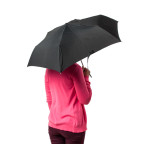 Парасолька Fulton Miniflat-1 L339 Black (Чорний) - Фотографія № 104