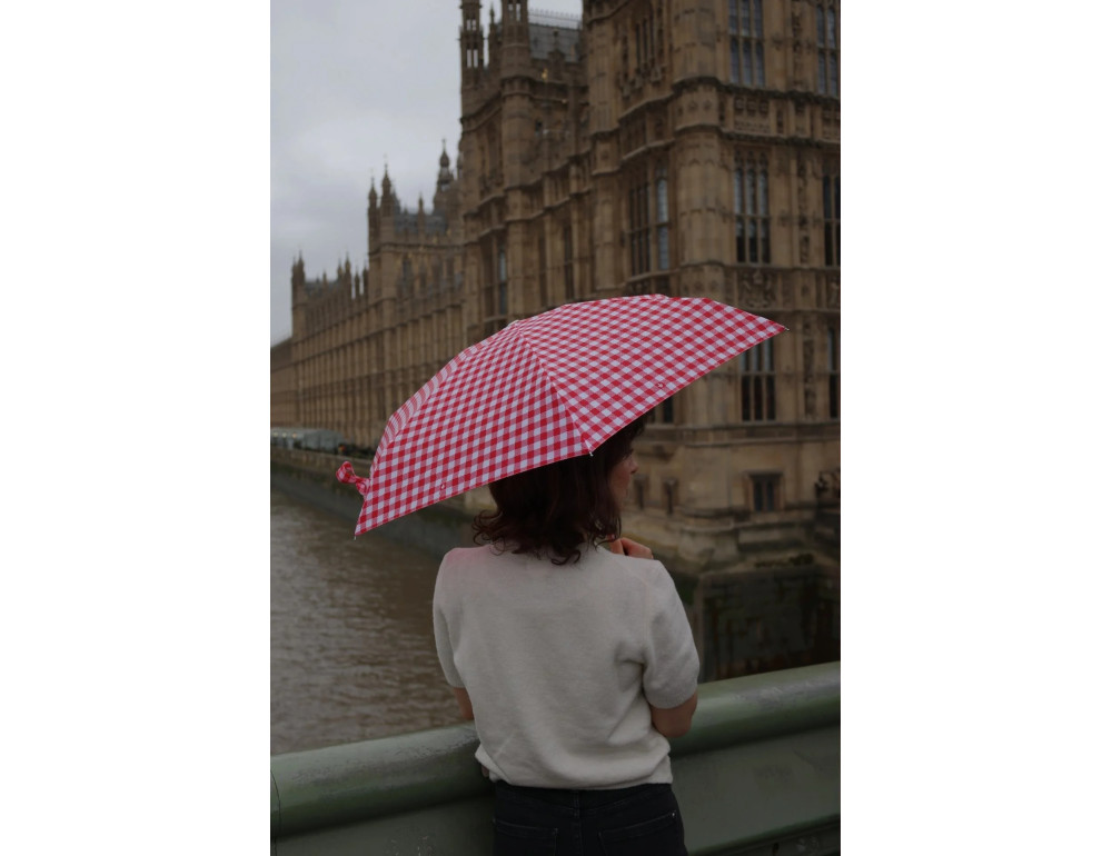 Женский мини зонт Fulton L501-042298 Tiny-2 Red Gingham (Красная клетка) - Фото № 6