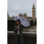 Женский мини зонт Fulton L501-042311 Tiny-2 London Sketch (Лондонский эскиз) - Фото № 103