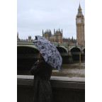Женский мини зонт Fulton L501-042311 Tiny-2 London Sketch (Лондонский эскиз) - Фото № 104