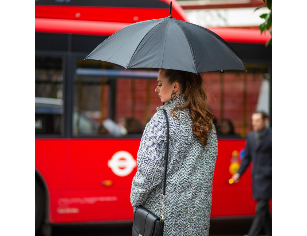 Парасолька-тростина жіноча Fulton Bloomsbury-2 L754-034941 Lynx (Рысь) - Фотографія № 3