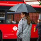 Парасолька-тростина жіноча Fulton Bloomsbury-2 L754-034941 Lynx (Рысь) - Фотографія № 102 Парасолька-тростина жіноча Fulton Bloomsbury-2 L754-034941 Lynx (Рысь) - Фотографія № 102