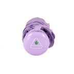 Парасолька жіноча Fulton Soho-1 L793 Lilac (Сиреневый) - Фотографія № 108 Парасолька жіноча Fulton Soho-1 L793 Lilac (Сиреневый) - Фотографія № 108