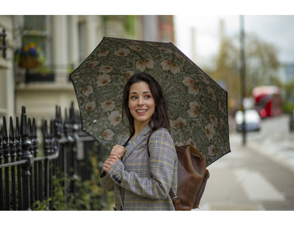 Зонт женский Fulton L856-041062 Morris & Co. Bloomsbury Pimpernel Bayleaf Manilla - Фотографія № 2