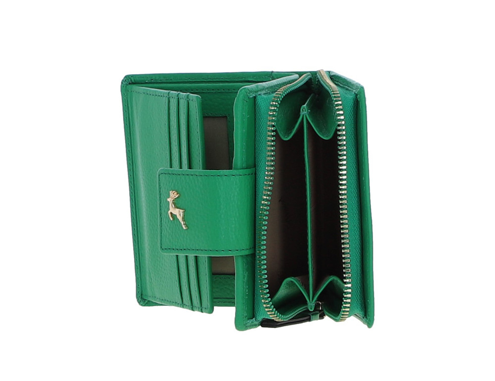 Жіночий шкіряний портмоне зеленого кольору Ashwood X30 (Green) - Фотографія № 2